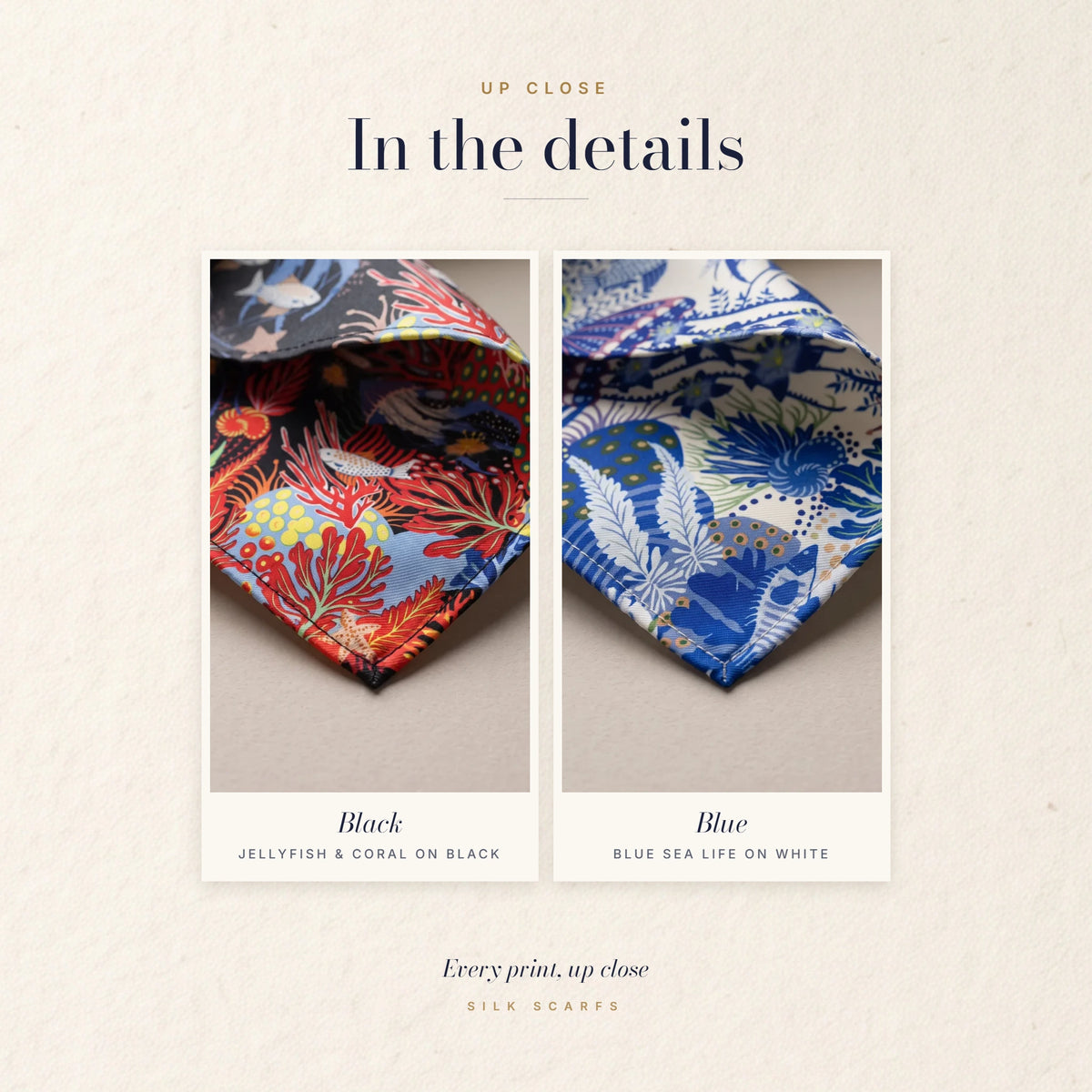 Close-ups of red coral and fish on black and of cobalt sea life on cream